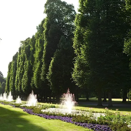 Steigenberger & Hotel 5*