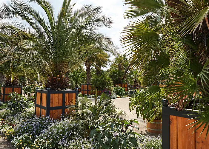 Steigenberger & 5* Bad Pyrmont