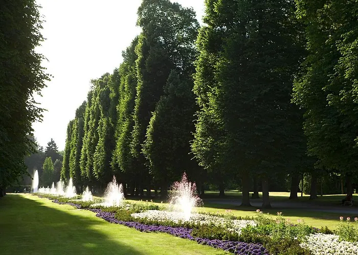 Steigenberger & Hotel 5*